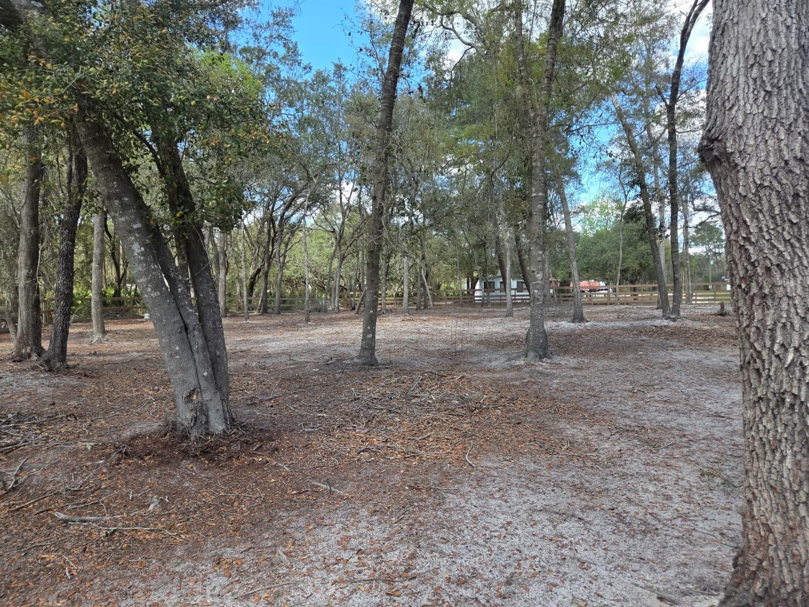 3rd Avenue Deland FL 32720 O6392574 image22