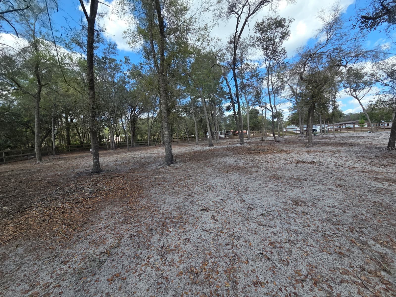 3rd Avenue Deland FL 32720 O6392574 image23