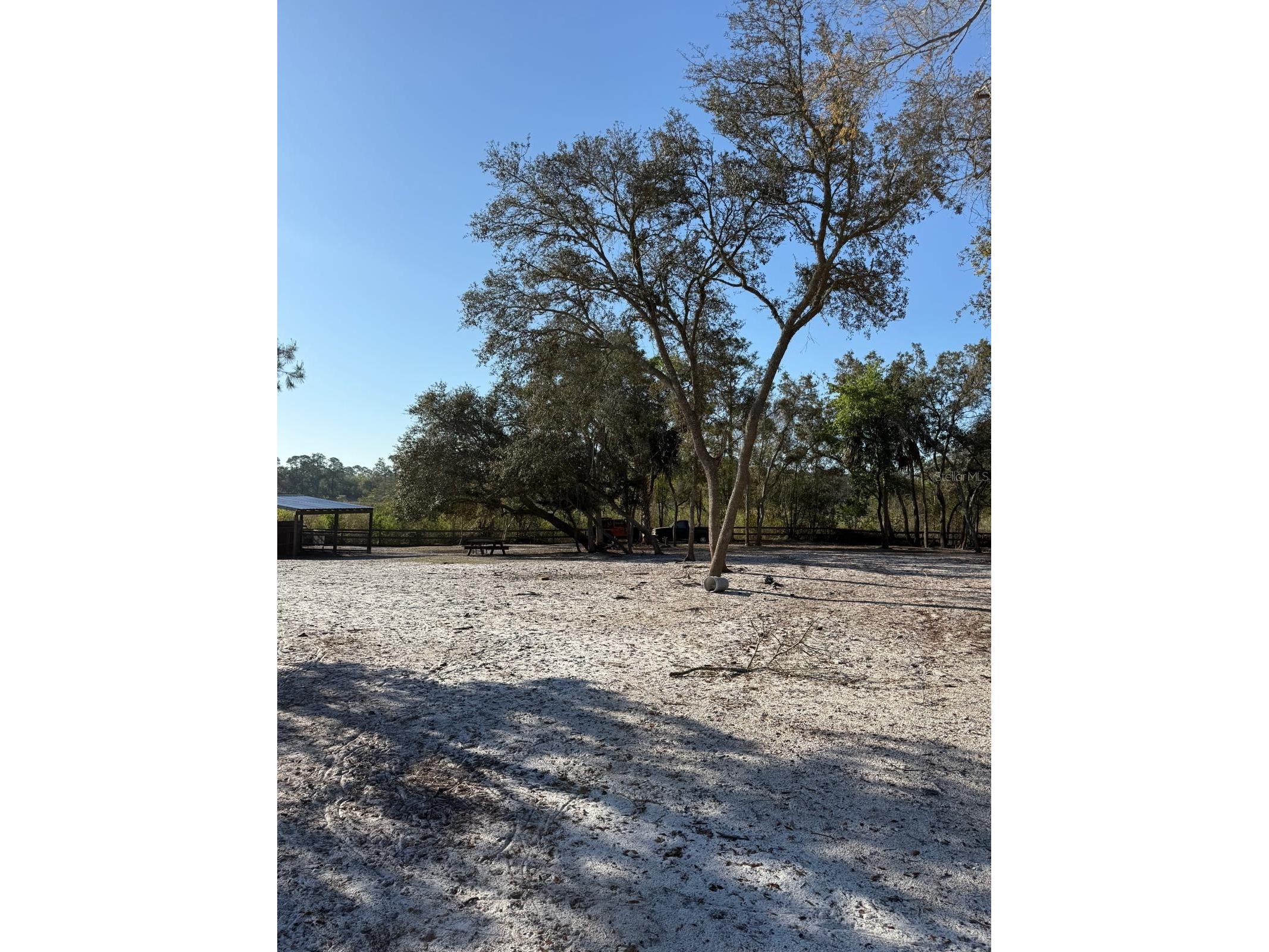 3rd Avenue Deland FL 32720 O6392574 image3