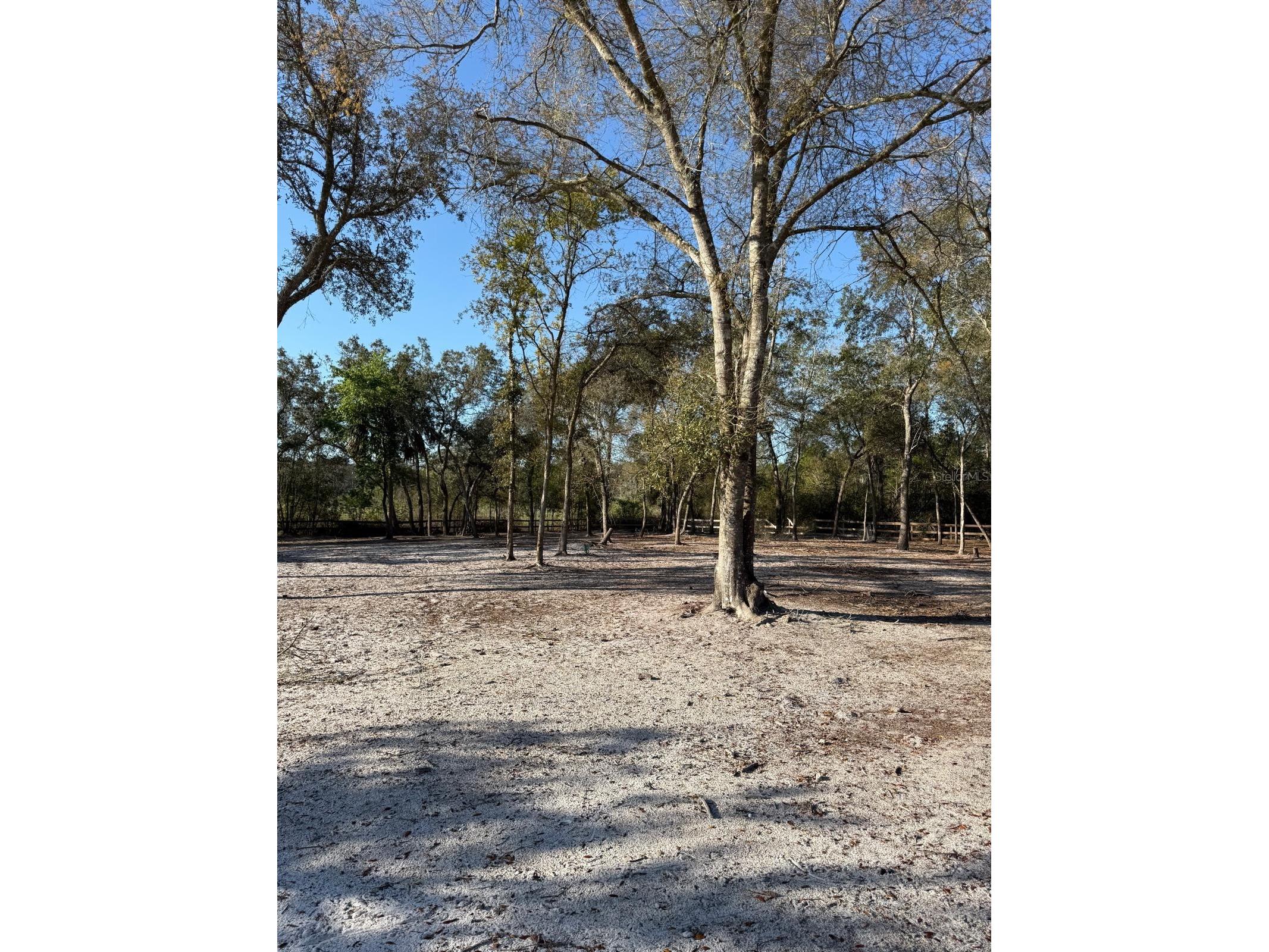 3rd Avenue Deland FL 32720 O6392574 image4