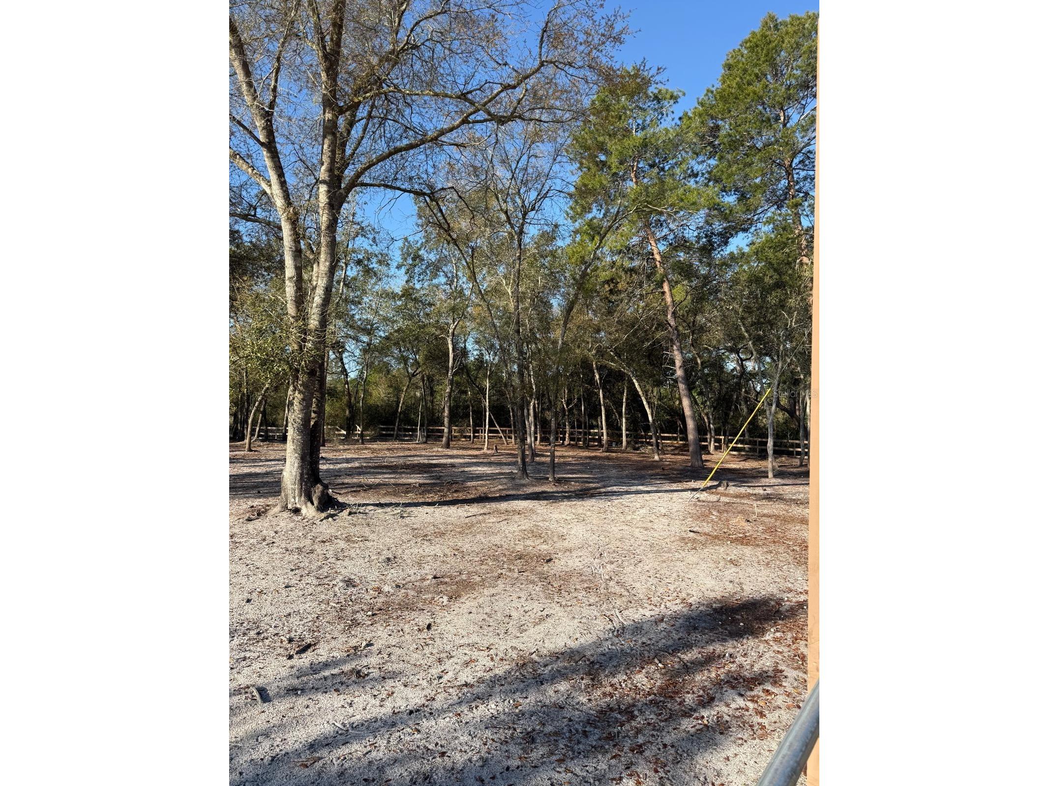 3rd Avenue Deland FL 32720 O6392574 image5