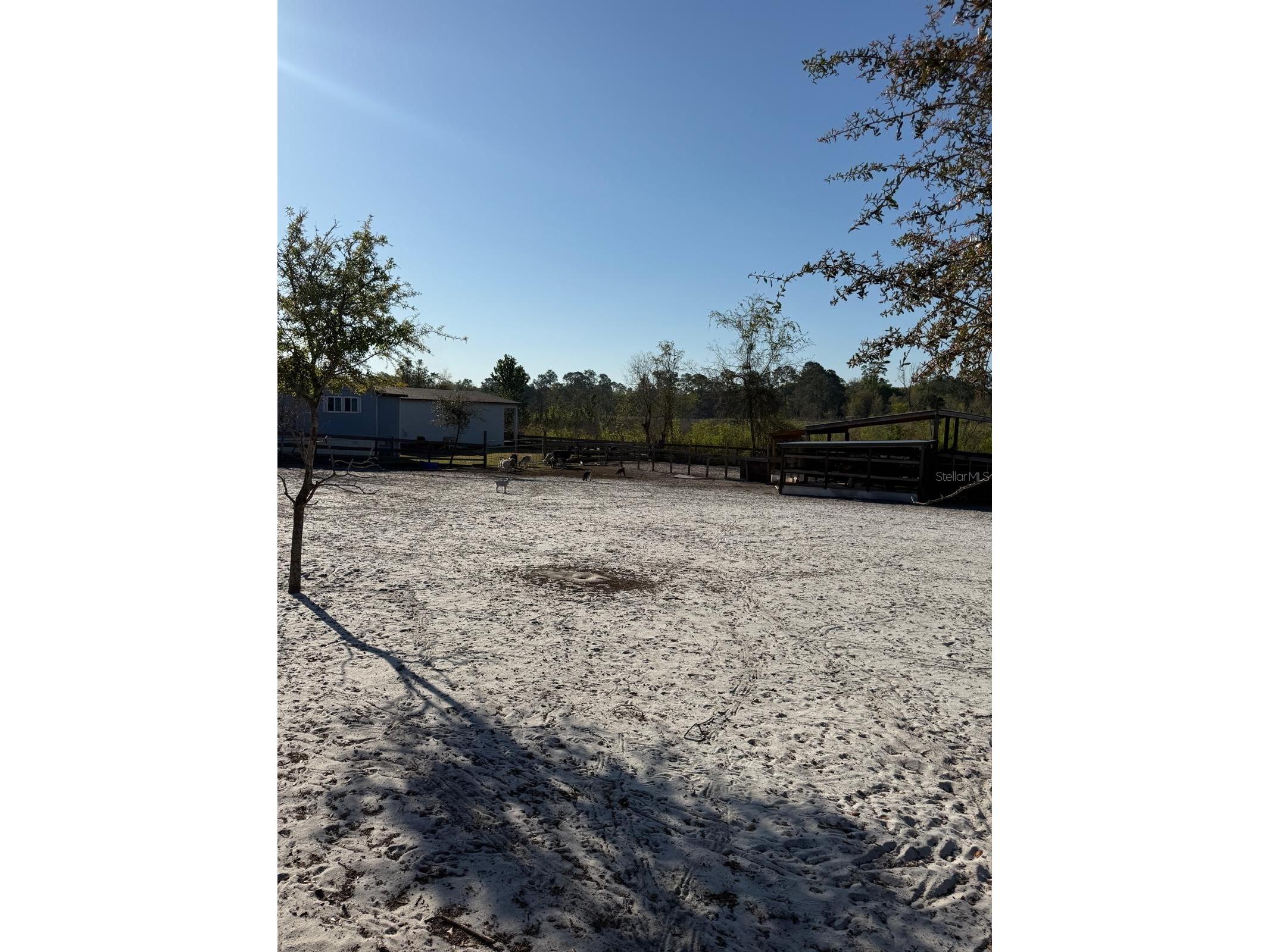 3rd Avenue Deland FL 32720 O6392574 image6