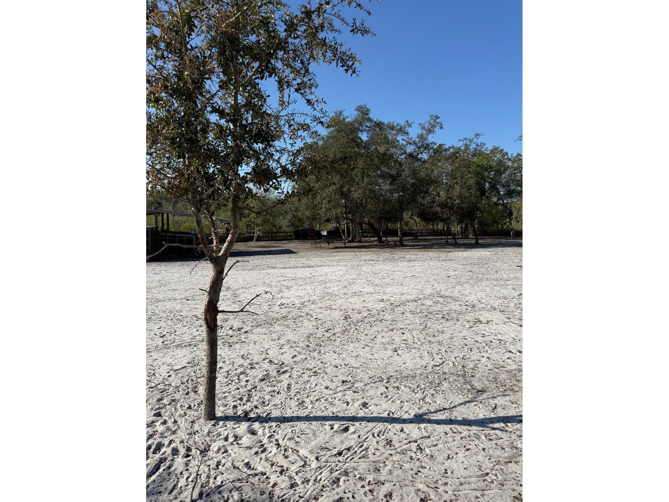 3rd Avenue Deland FL 32720 O6392574 image7