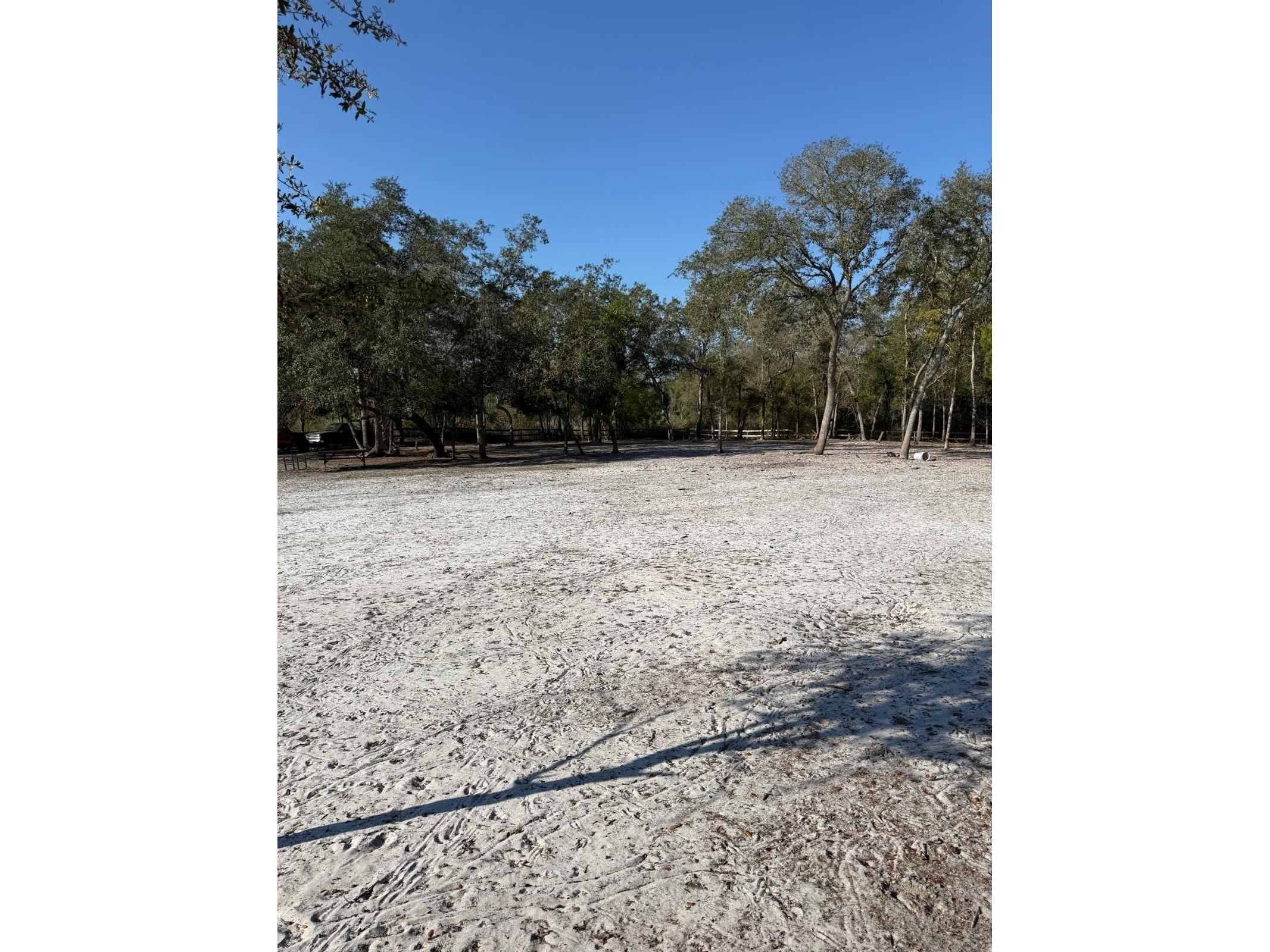 3rd Avenue Deland FL 32720 O6392574 image8