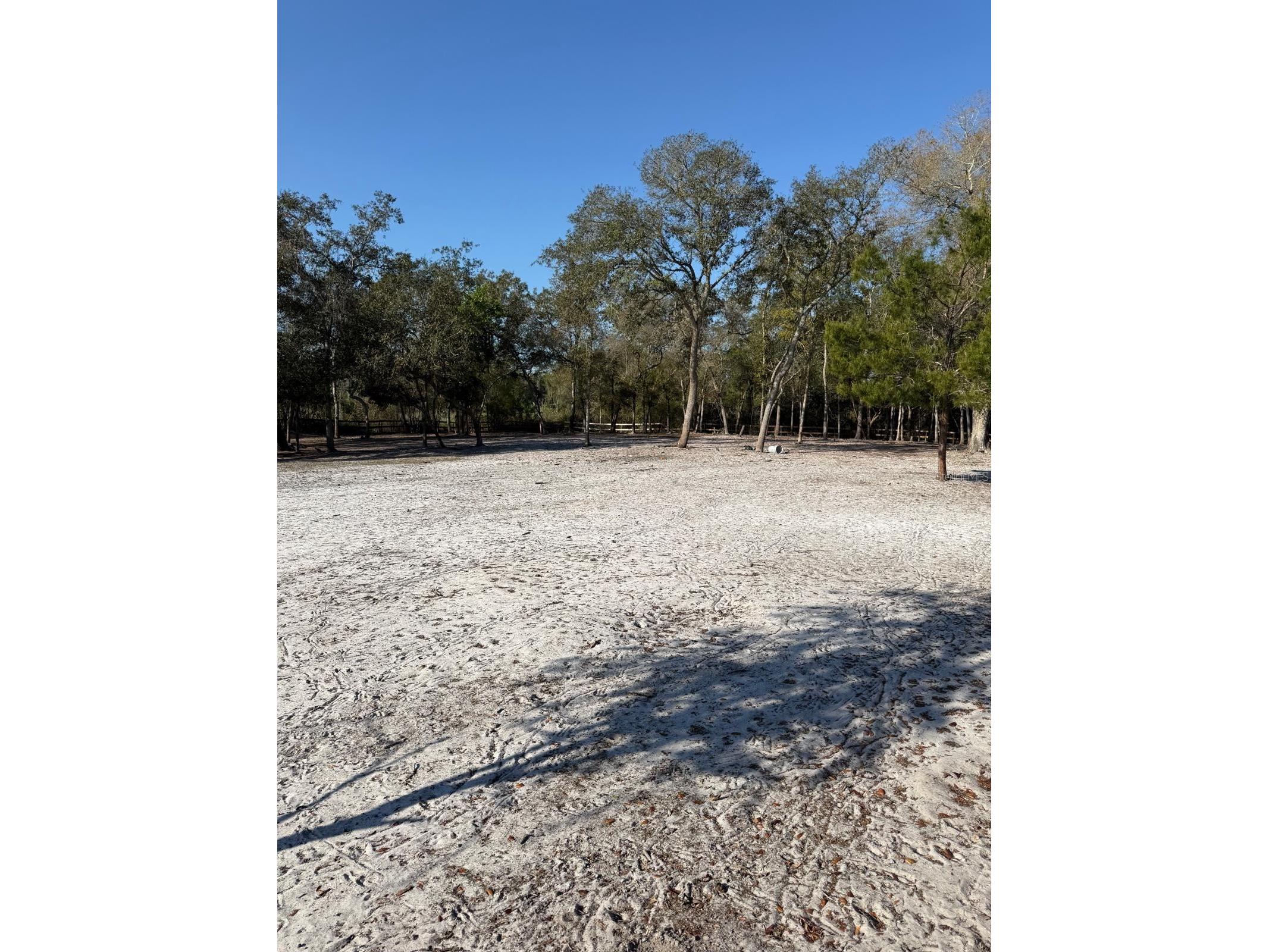 3rd Avenue Deland FL 32720 O6392574 image9