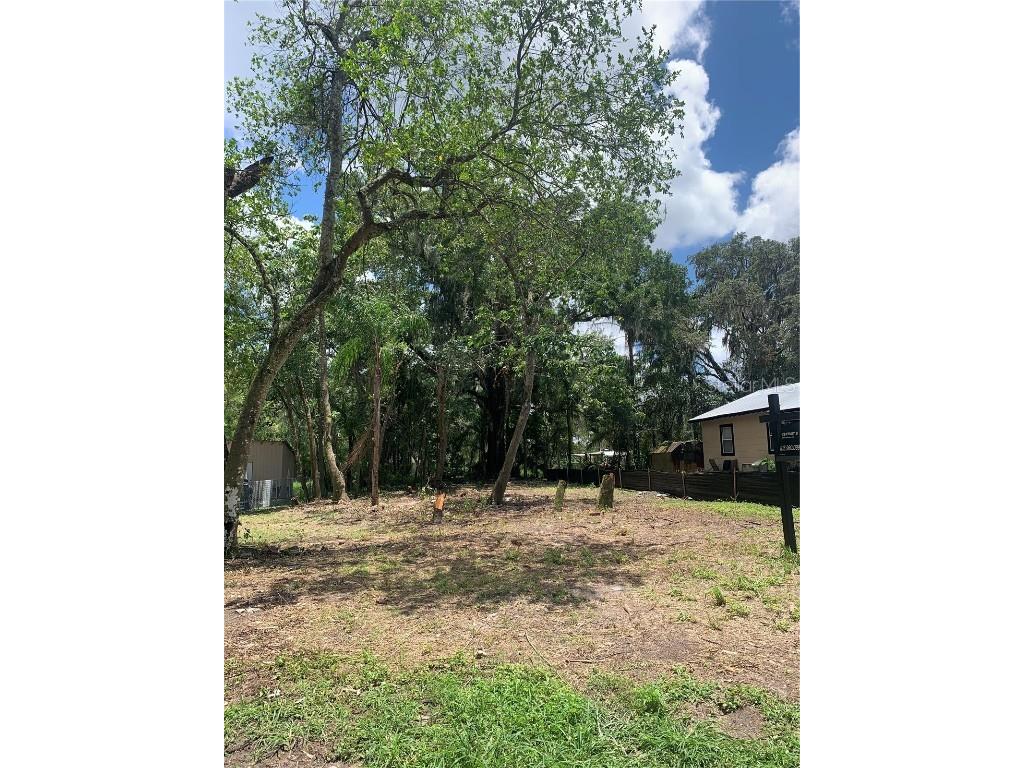 3rd Avenue NE Lutz FL 33549 T3366201 image1