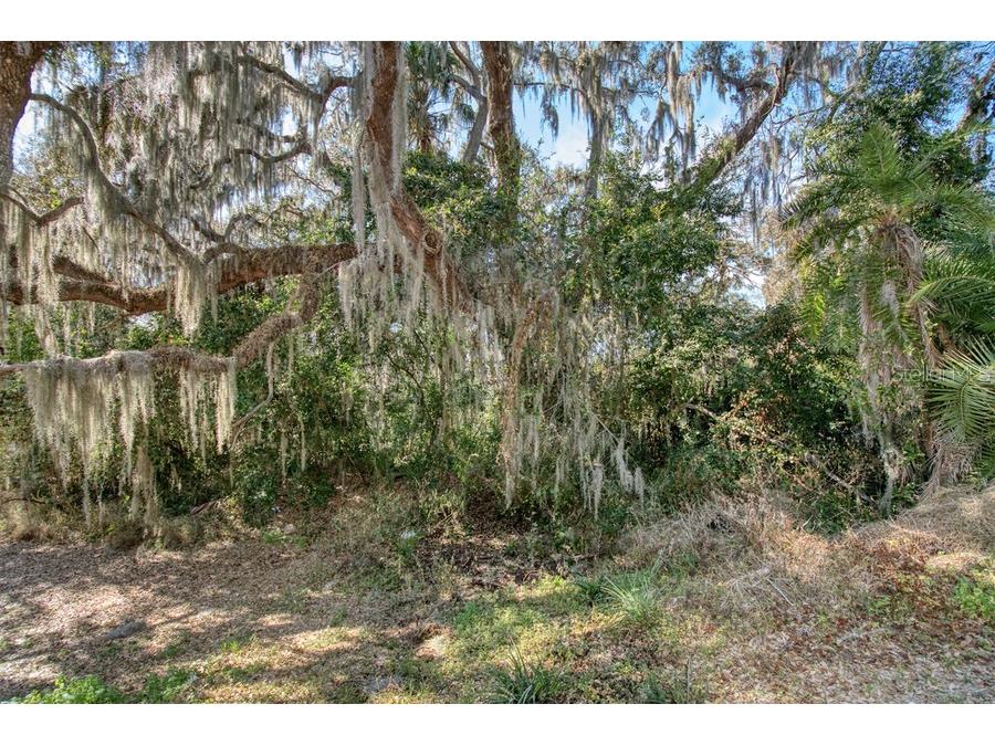 3rd St Montverde FL 34756 G5107895 image1