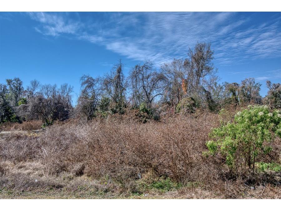 3rd St Montverde FL 34756 G5107895 image5