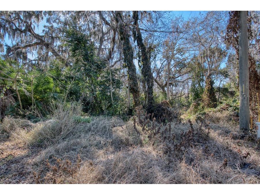 3rd St Montverde FL 34756 G5107895 image9