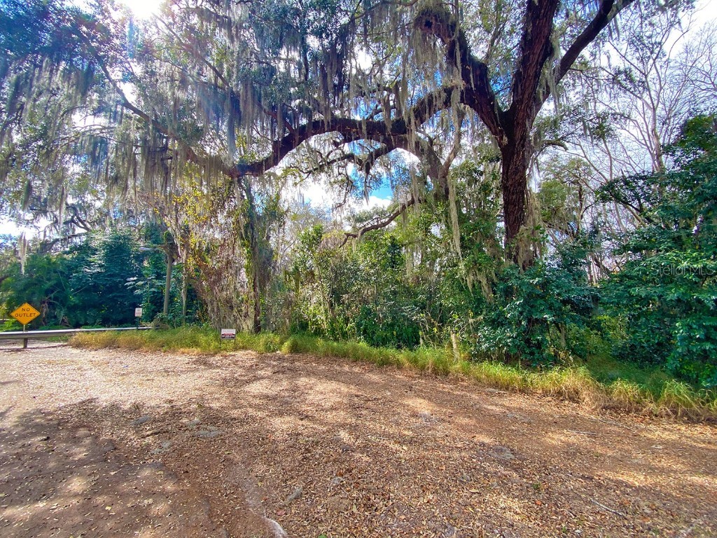3rd Street Montverde FL 34756 - LAKE APOPKA O6140290 image1