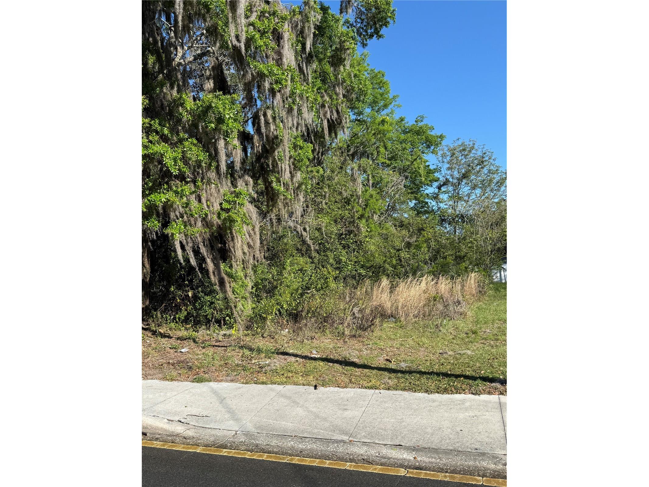3rd Street Ocala FL 34471 O6392768 image1