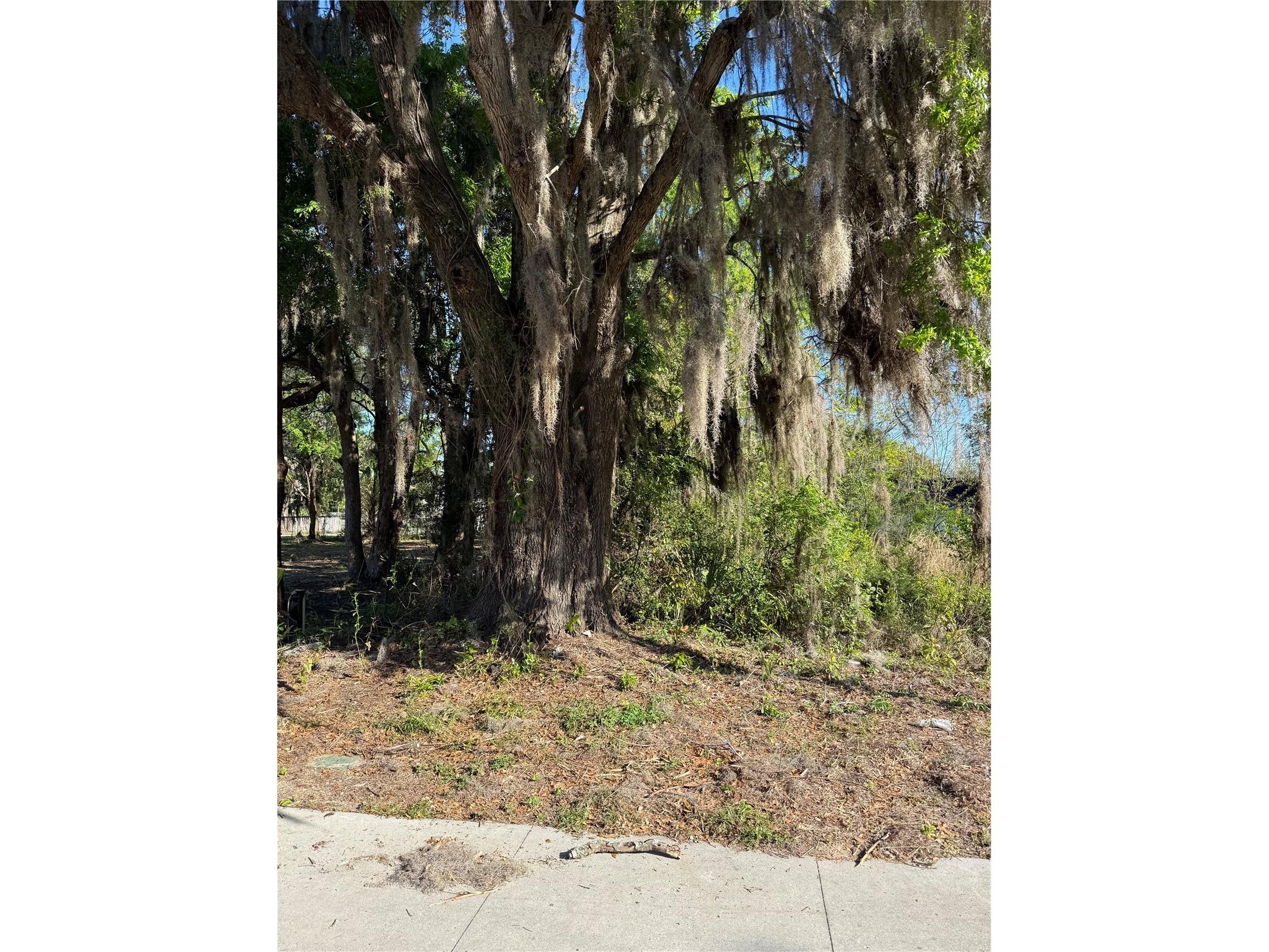 3rd Street Ocala FL 34471 O6392768 image2