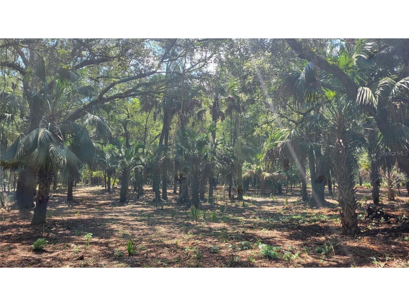 #3a - 10.27ac NE 150 Ave Rd Fort Mc Coy FL 32134 OM668721 image1