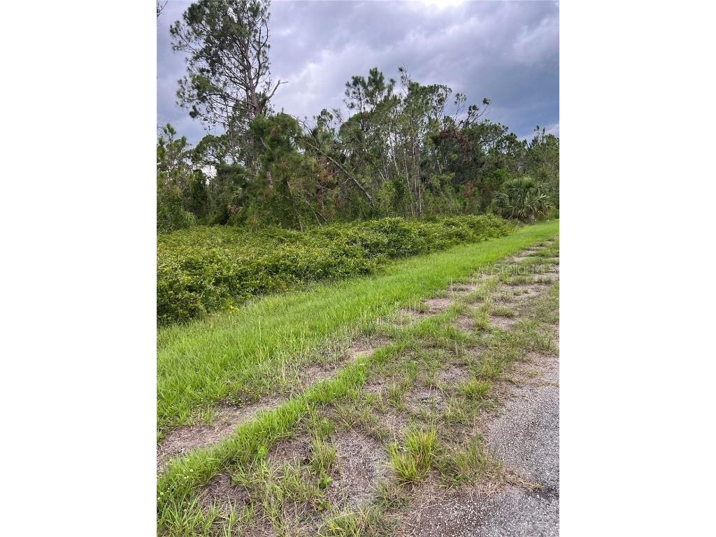 #4 Bignay Road North Port FL 34288 N6127112 image1