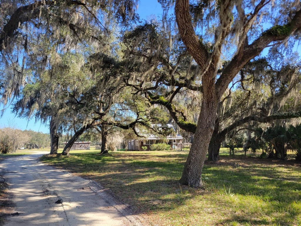 #4-II - 10ac NE 127th Street Fort Mc Coy FL 32134 OM657081 image1