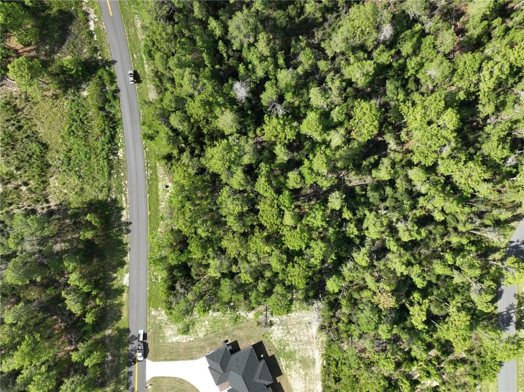 40th Court Ocala FL 34473 O6342881 image10