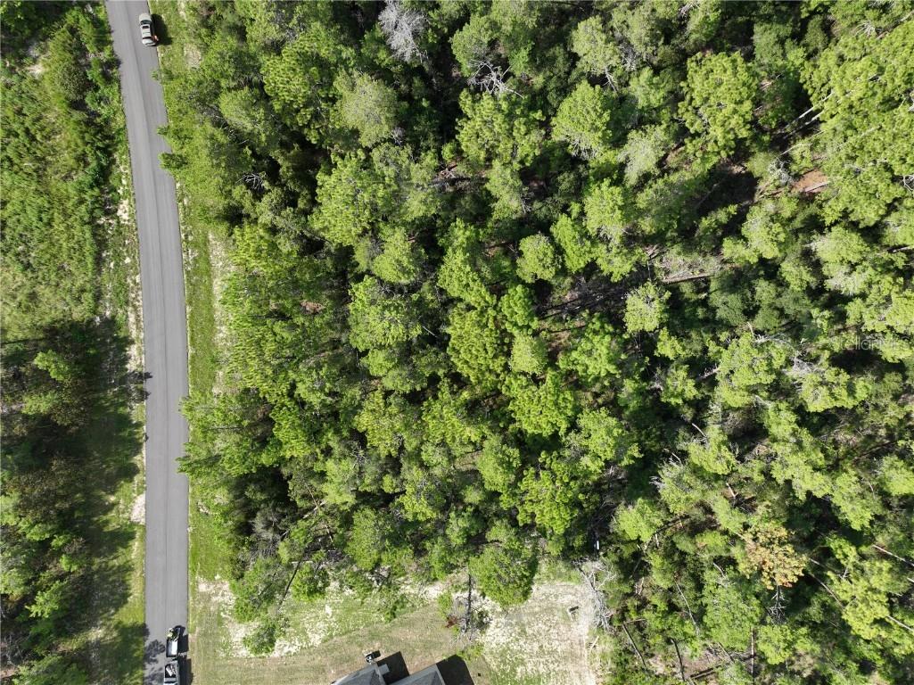 40th Court Ocala FL 34473 O6342881 image11