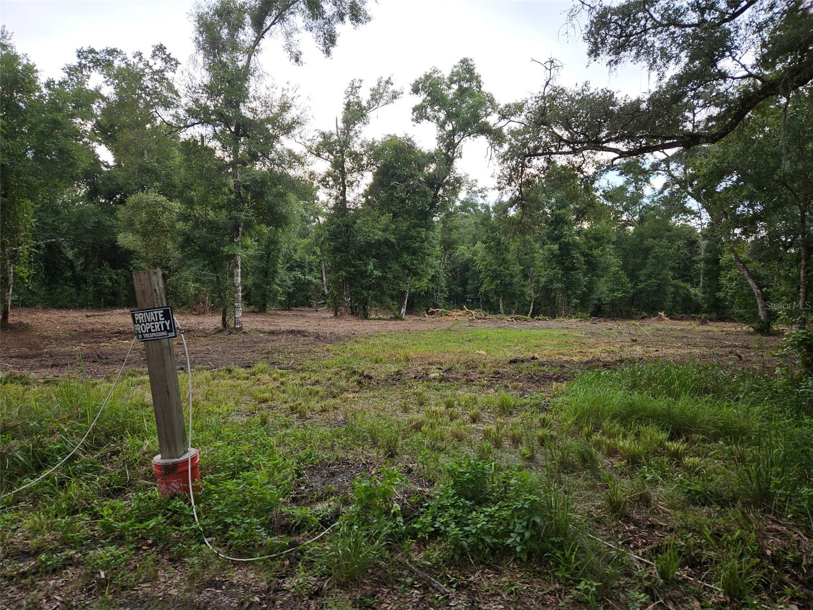 40th Webster FL 33597 G5108297 image1