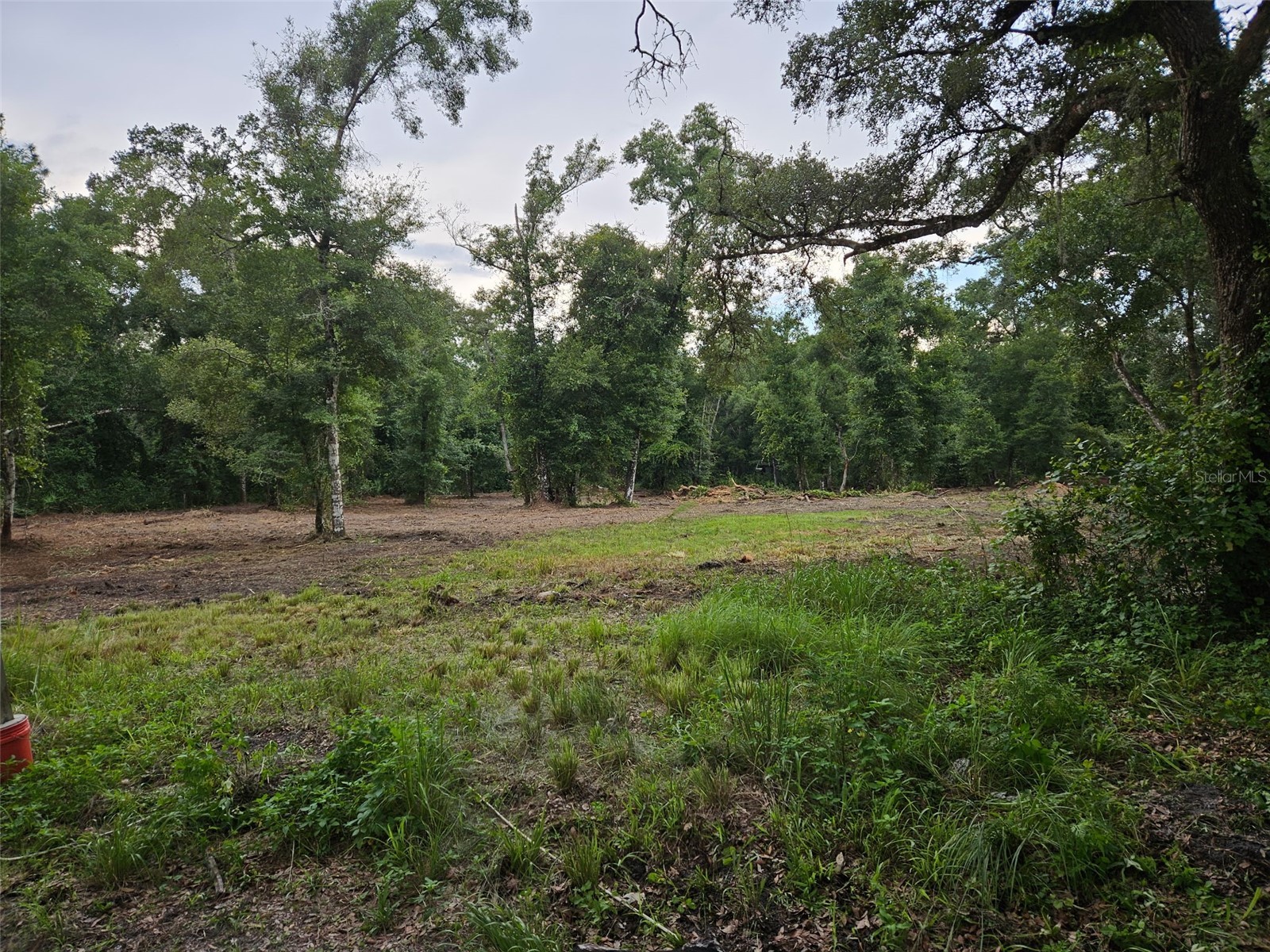 40th Webster FL 33597 G5108297 image7