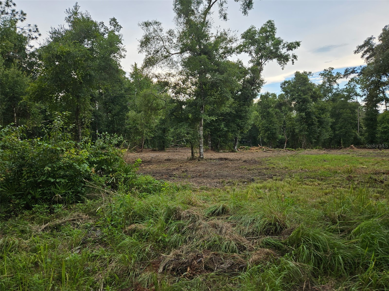 40th Webster FL 33597 G5108297 image8