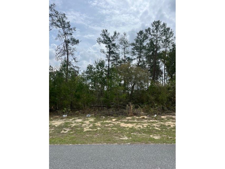 41st Circle Ocala FL 34473 OM698400 image1