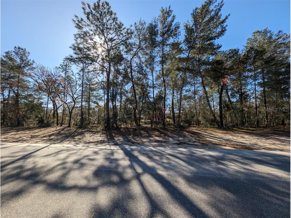 43 Terrace Road SW Ocala FL 34473 O6173056 image1