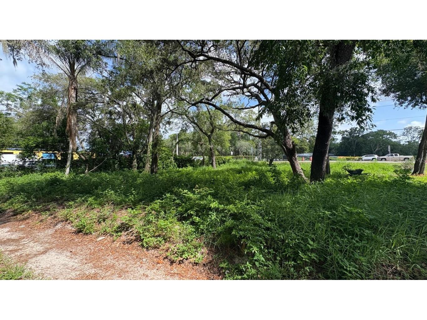 434th Winter Springs FL 32708 S5100991 image3