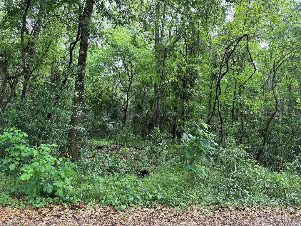 44th Avenue Belleview FL 34420 G5066533 image1