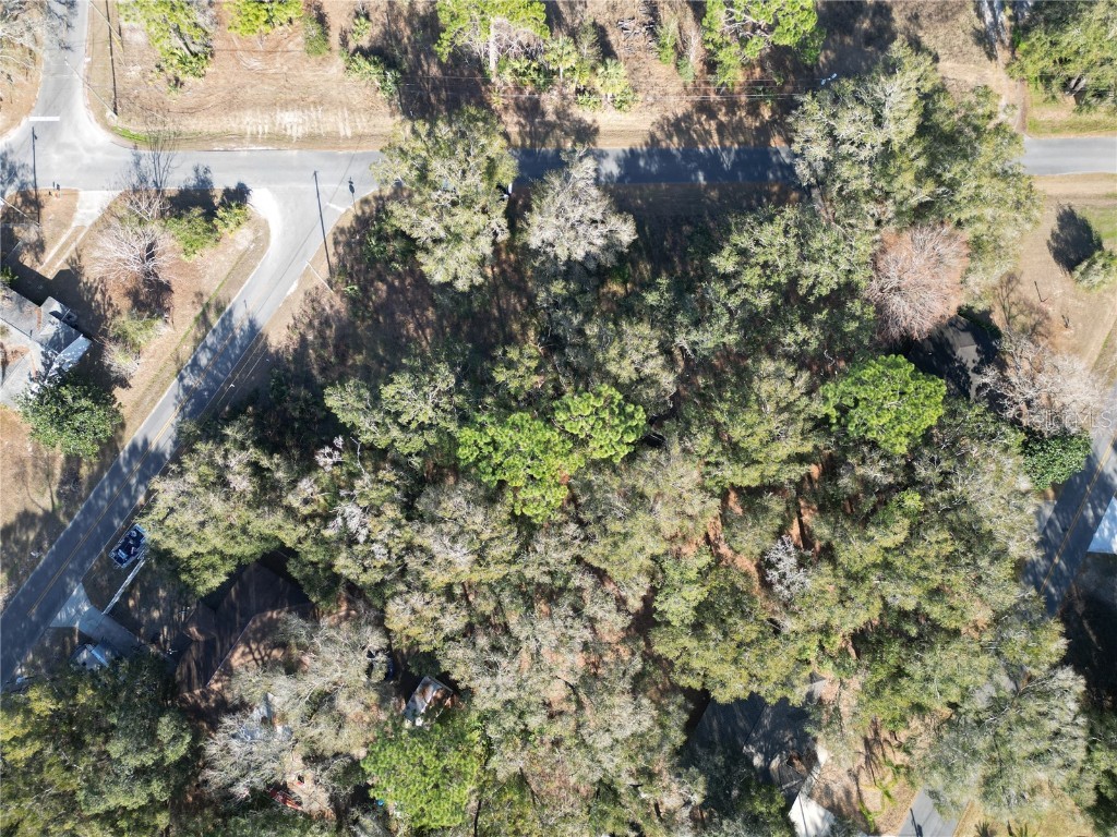 4530-004-024 Belleview FL 34420 TB8351268 image1