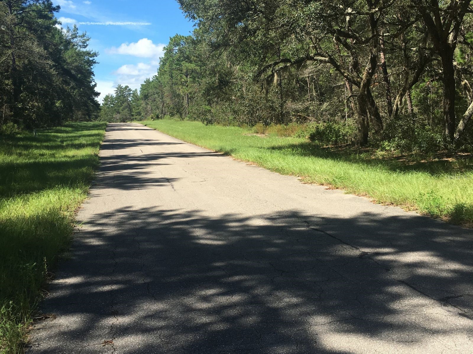 45th Terrace Road Ocala FL 34473 OM720544 image4