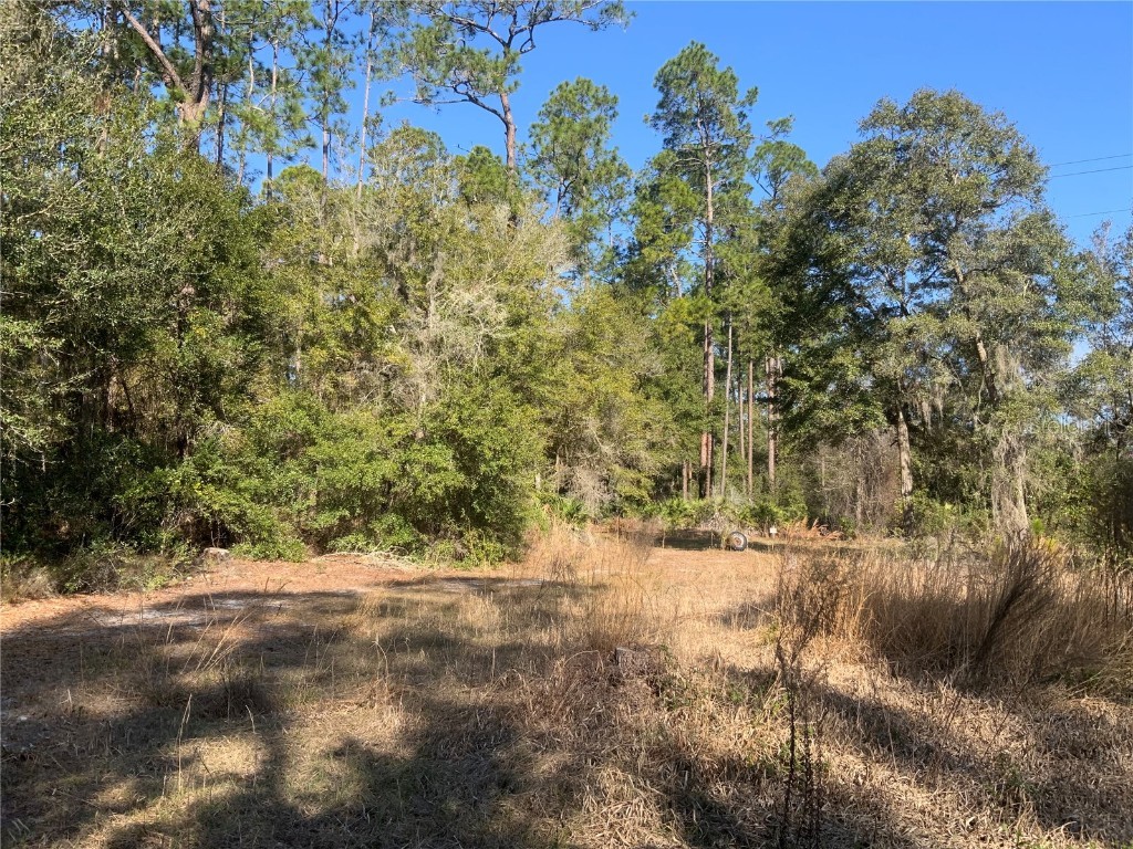 464 C Ocklawaha FL 32179 G5064786 image1