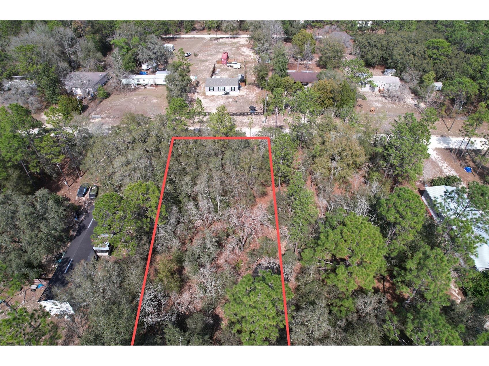 47th Street Dunnellon FL 34432 O6384915 image2