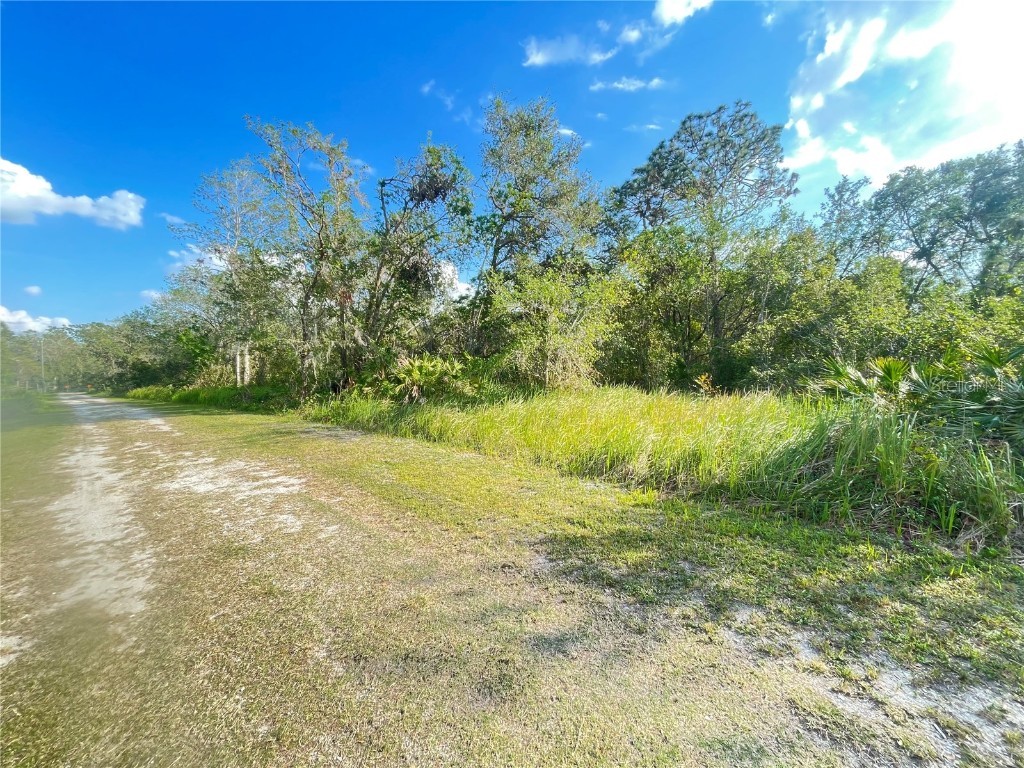 49th Avenue E Myakka City FL 34251 A4553398 image1