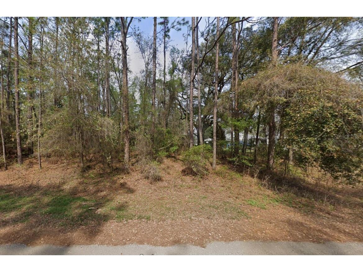 49th Place Ocala FL 34481 O6233173 image1