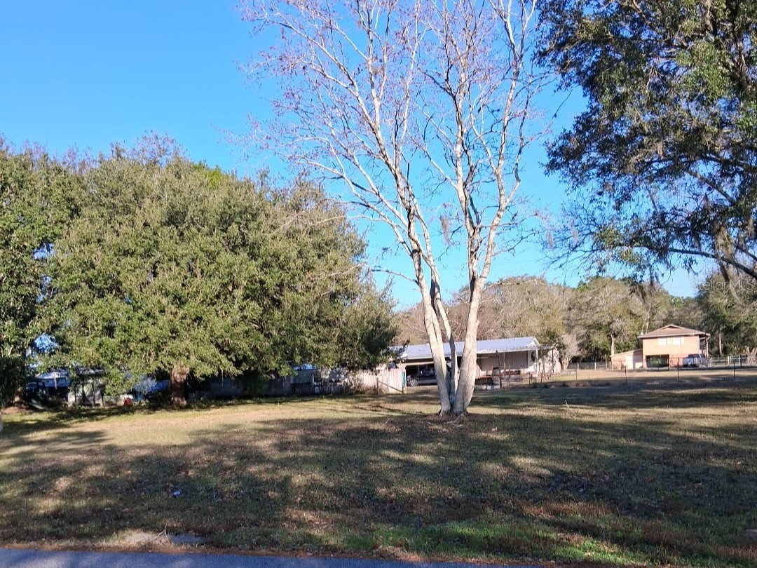 4th Avenue Kenansville FL 34739 S5140053 image4