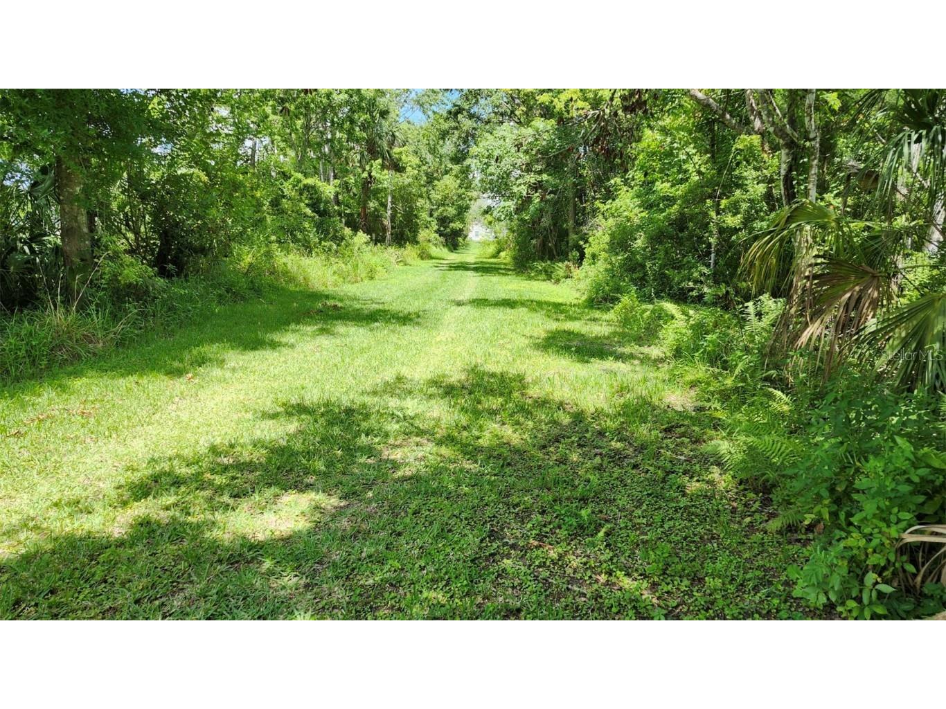 4th Avenue San Antonio FL 33576 TB8403126 image2