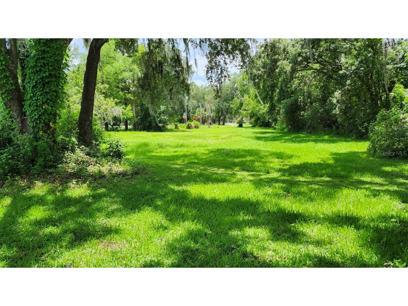 4th Avenue San Antonio FL 33576 TB8403126 image3