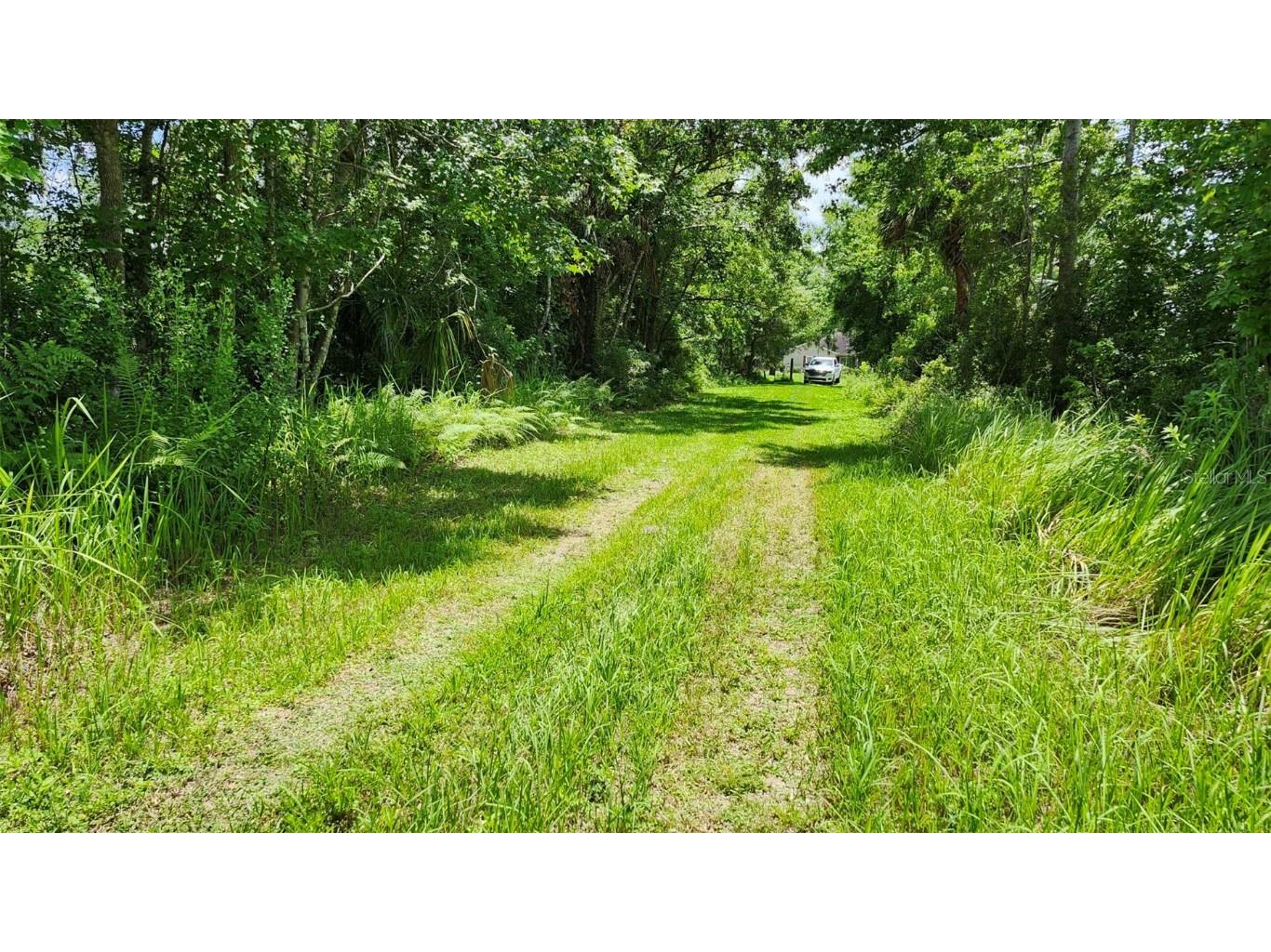 4th Avenue San Antonio FL 33576 TB8403126 image4