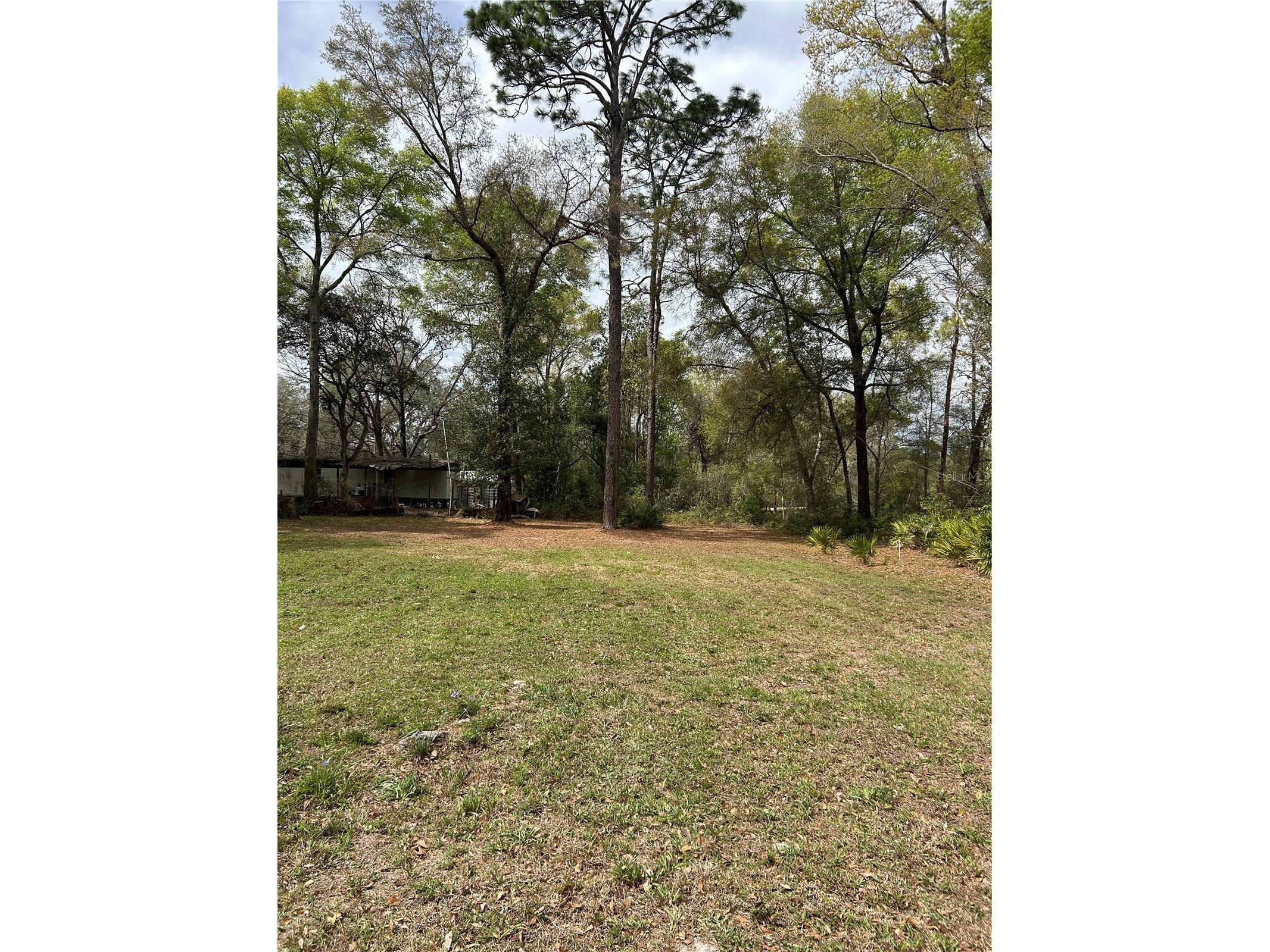 4th Street Altoona FL 32702 O6392549 image3