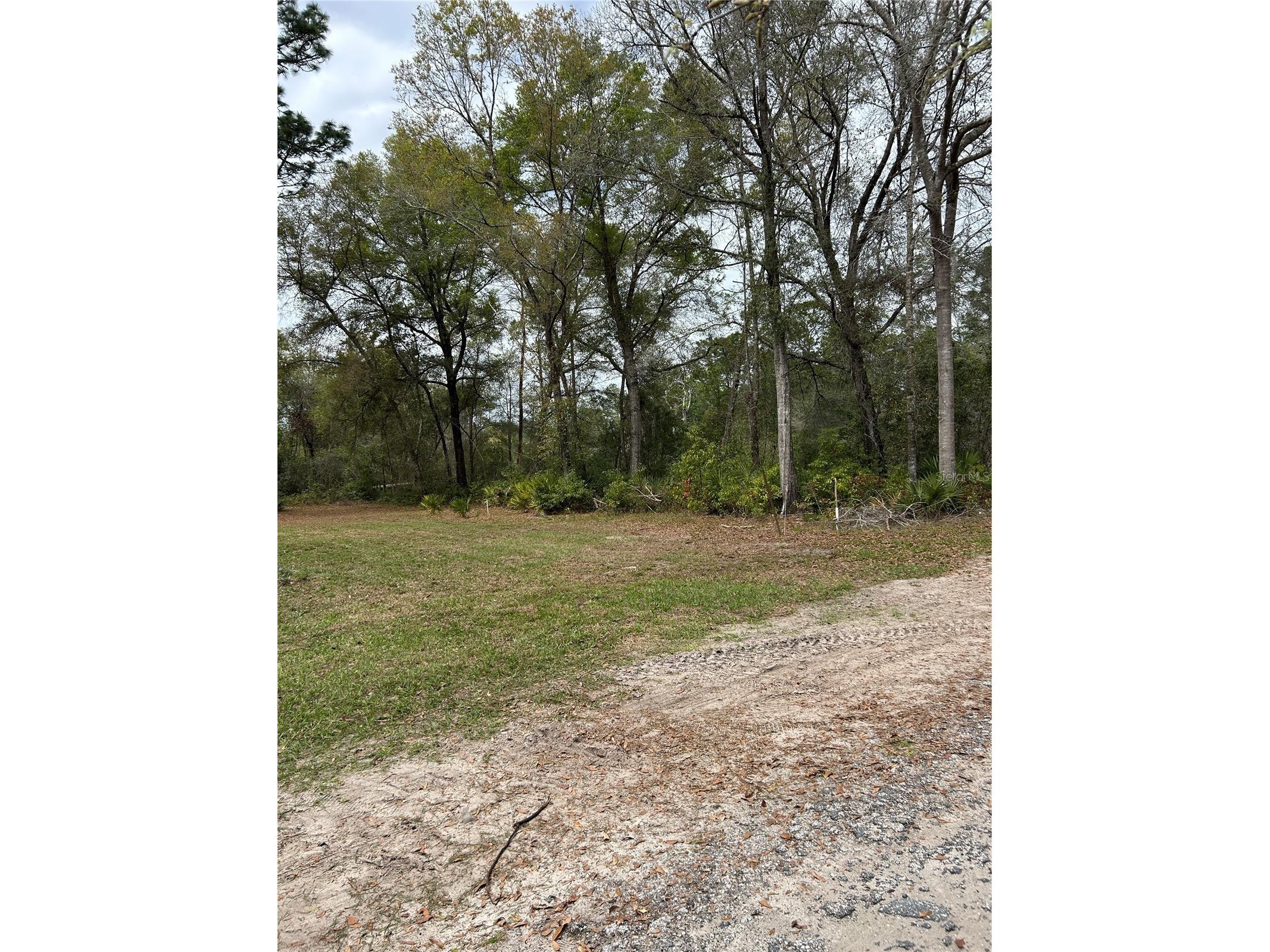 4th Street Altoona FL 32702 O6392549 image4