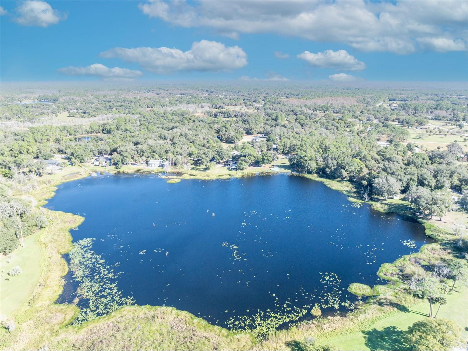 4th Street Osteen FL 32764 - TYLERR O6366939 image20