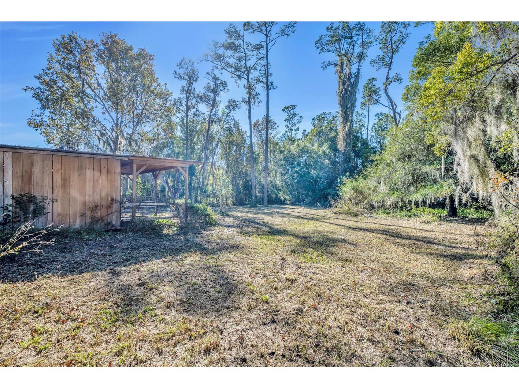 4th Street Osteen FL 32764 - TYLERR O6366939 image6