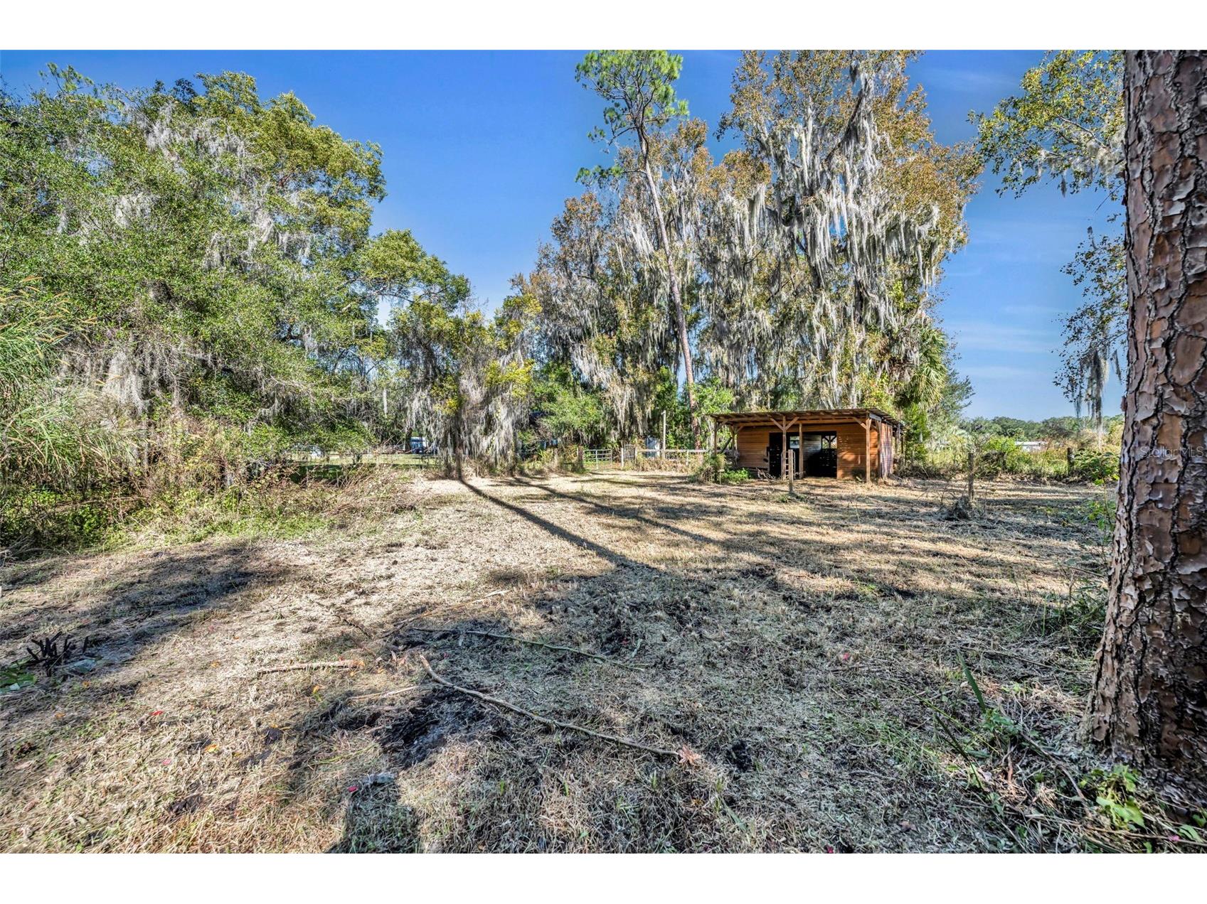 4th Street Osteen FL 32764 - TYLERR O6366939 image7