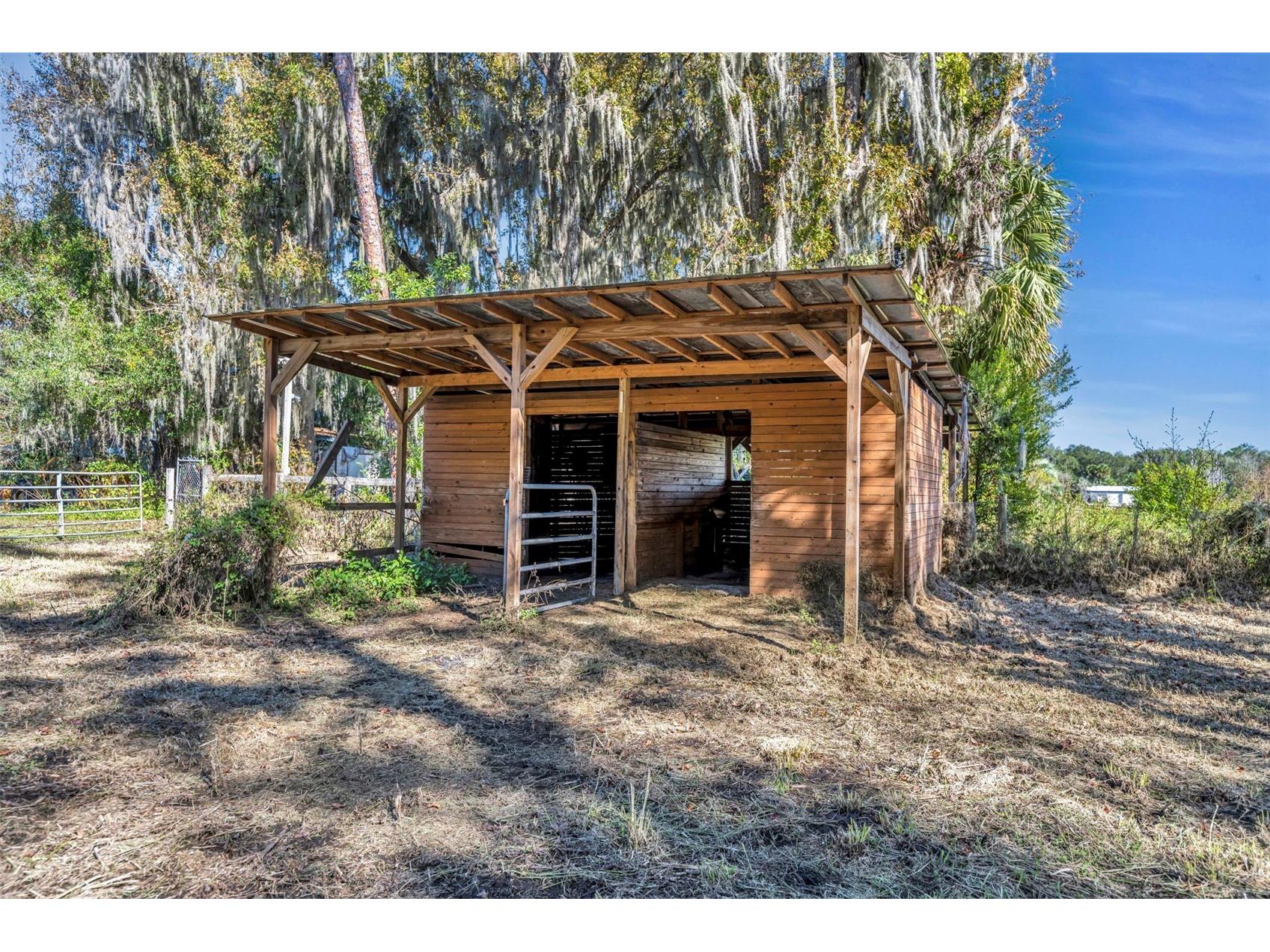 4th Street Osteen FL 32764 - TYLERR O6366939 image8