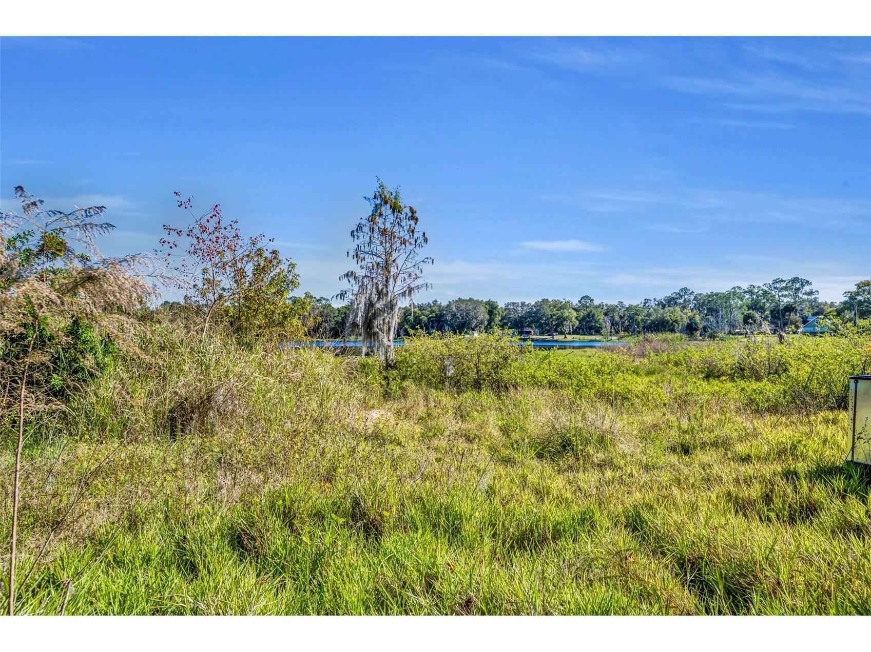 4th Street Osteen FL 32764 - TYLERR O6366939 image9