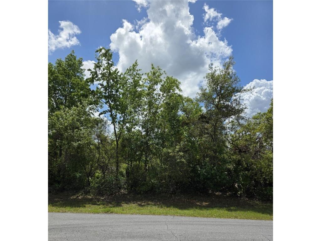 50th Circle SW #6 Ocala FL 34473 OM700773 image3