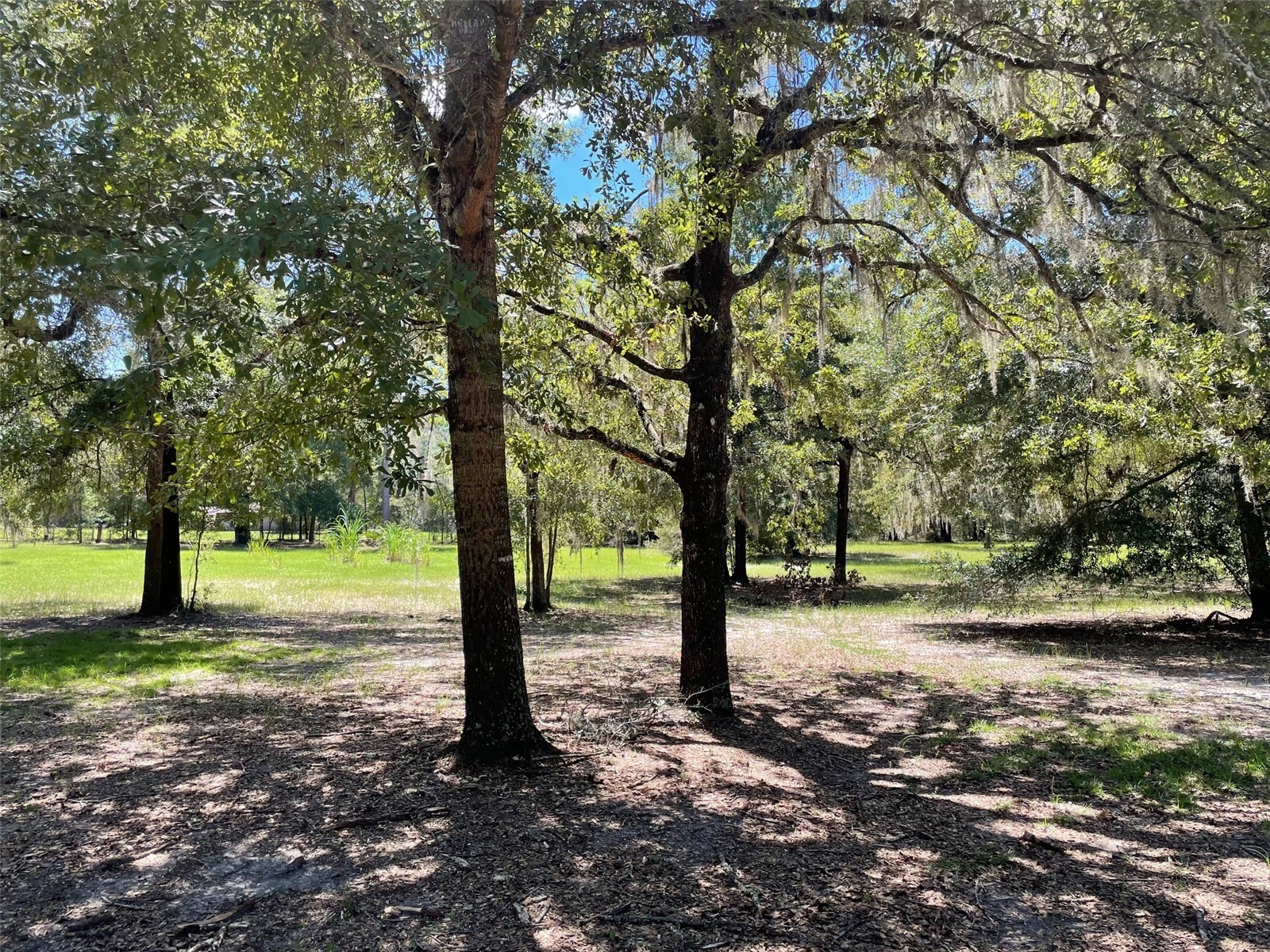 51 Avenue NE High Springs FL 32643 GC538501 image4