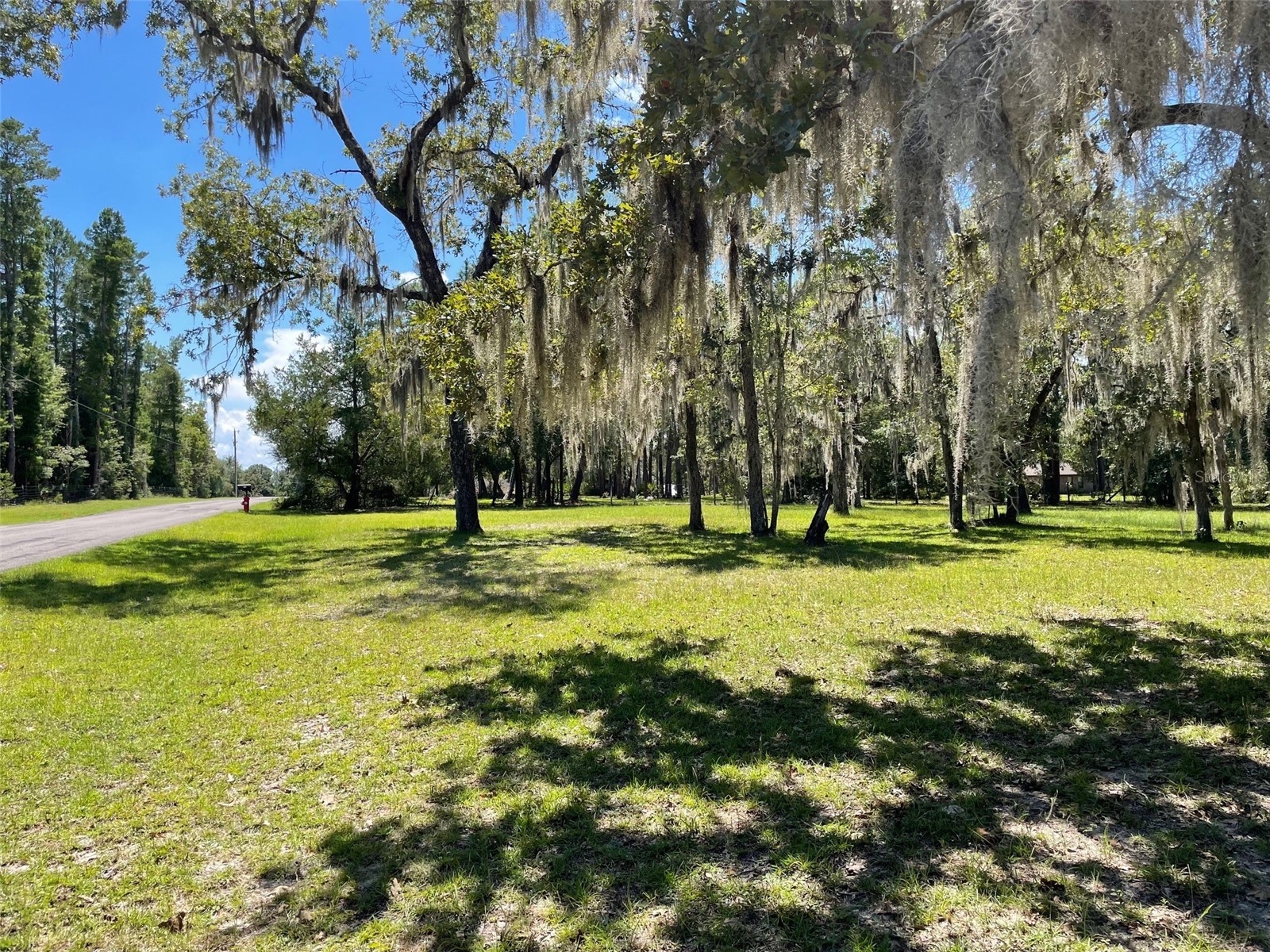 51 Avenue NE High Springs FL 32643 GC538501 image6