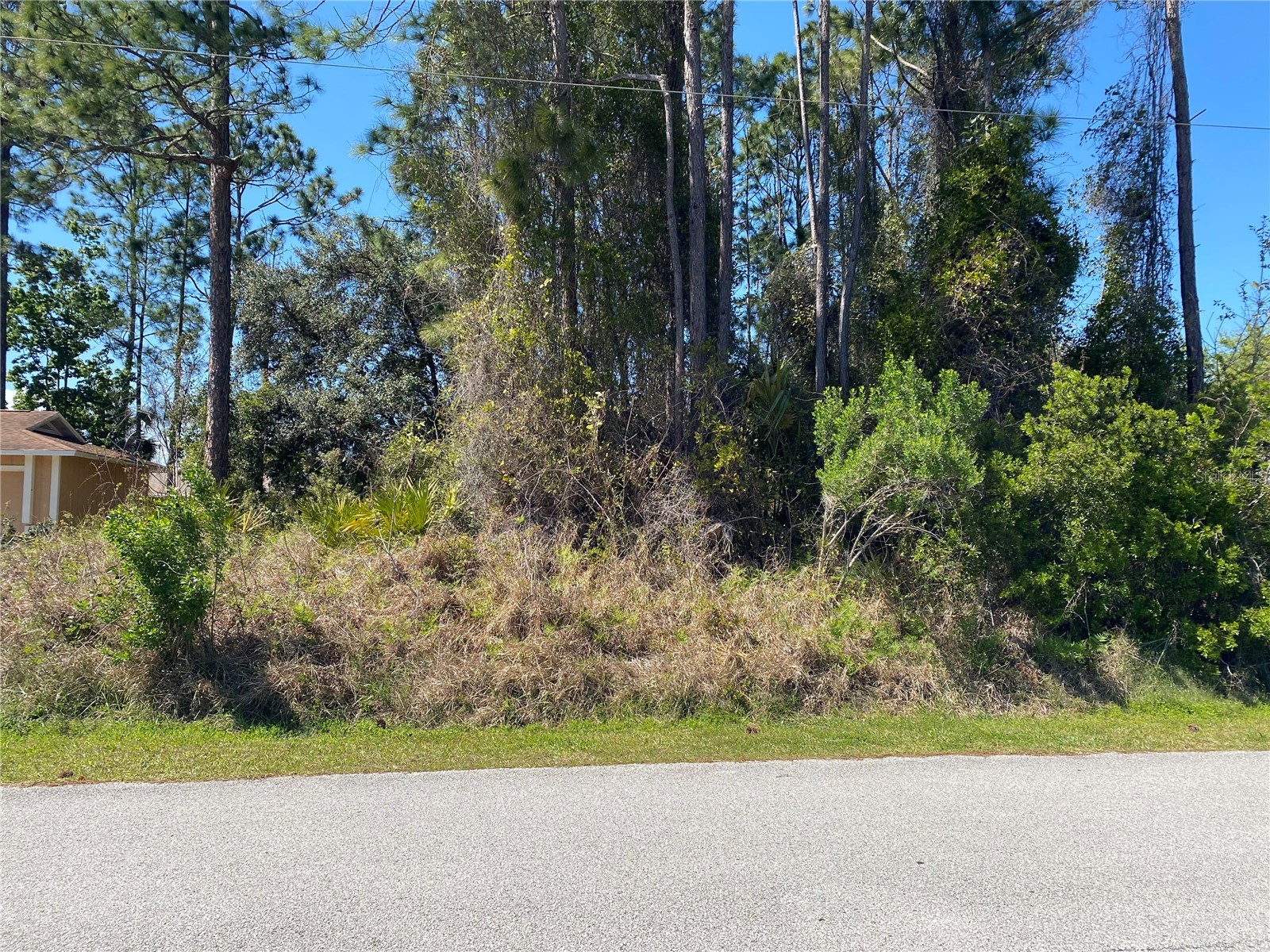 51 Bronson Lane Palm Coast FL 32137 FC317179 image2