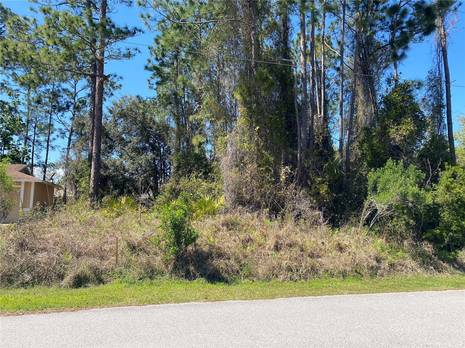 51 Bronson Lane Palm Coast FL 32137 FC317179 image3